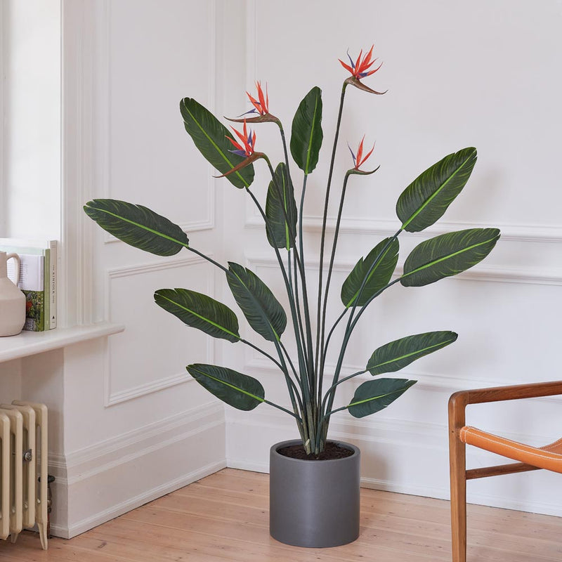 Artificial Bird of Paradise (Flowering)