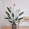 Artificial Bird of Paradise (Flowering)