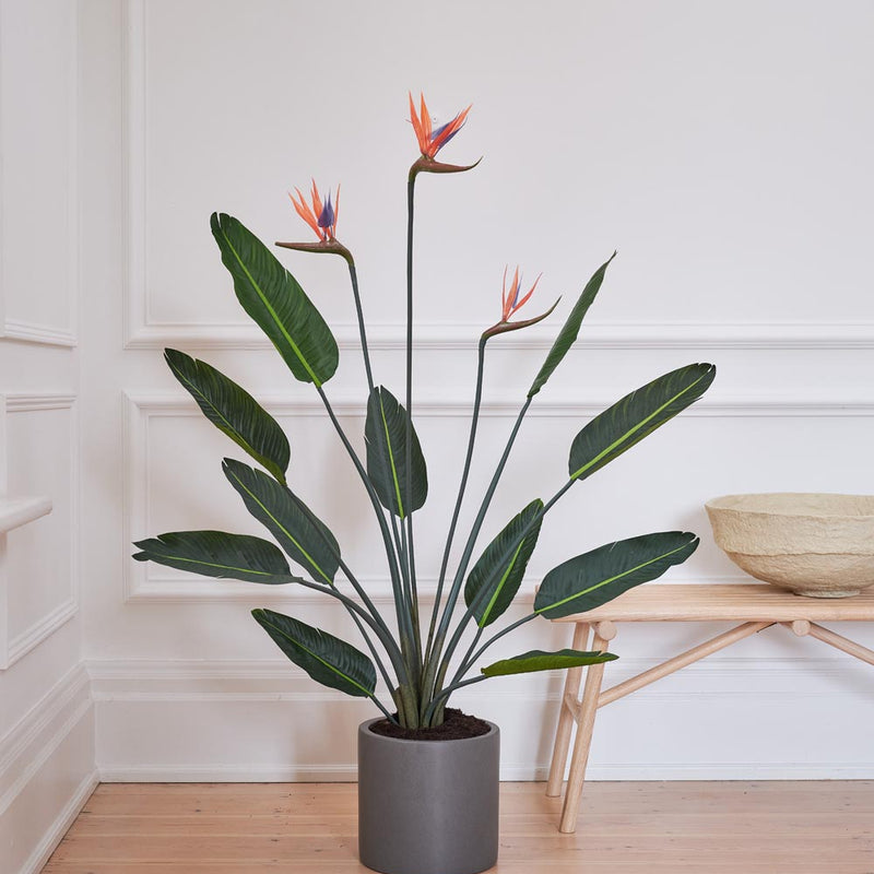 Artificial Bird of Paradise (Flowering)