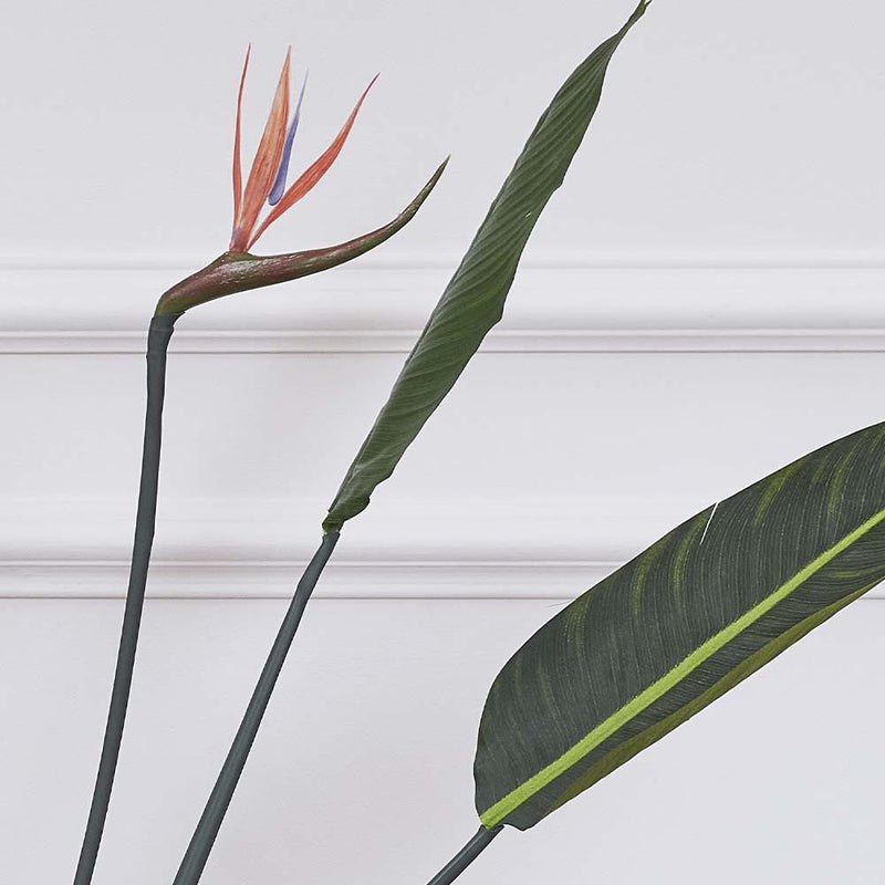 Artificial Bird of Paradise (Flowering)