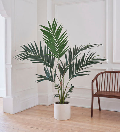Artificial Kentia Palm