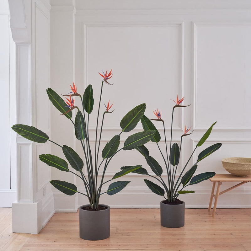 Artificial Bird of Paradise (Flowering)