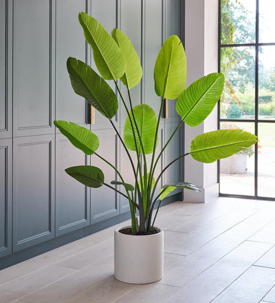 faux potted bird of paradise plant Artificial Bird of Paradise