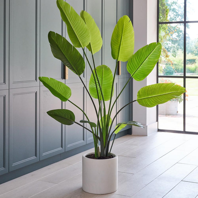 Artificial Large Bird of Paradise