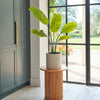 Artificial Bird of Paradise