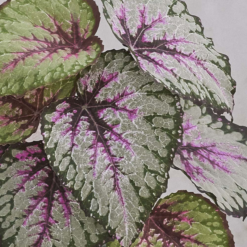 Artificial Begonia