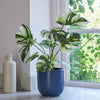 Artificial Variegated Monstera