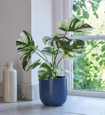 monstera deliciosa faux Artificial Variegated Monstera