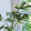 Artificial Variegated Monstera