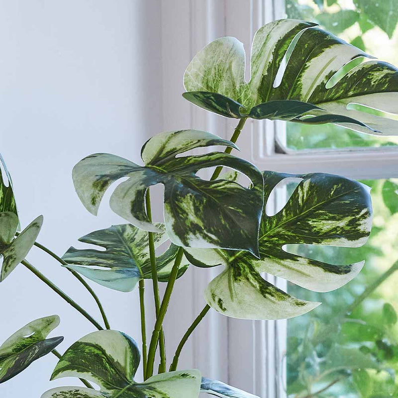 Artificial Variegated Monstera