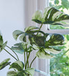 Artificial Variegated Monstera