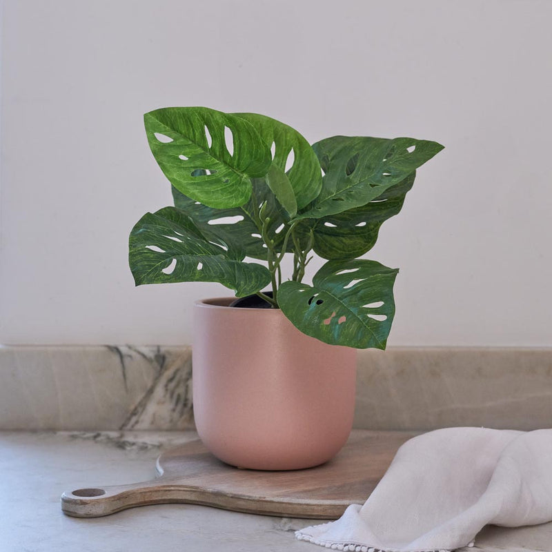 Artificial Monstera Obliqua