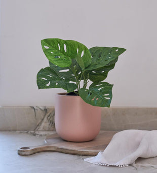 Artificial Monstera Obliqua