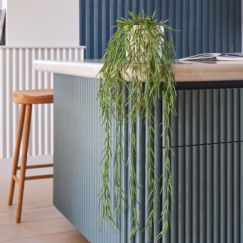 Artificial Hoya Linearis Hanging