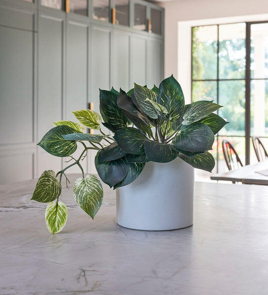 pothos fake plant Artificial Pothos