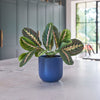 Imperfect Artificial Plant