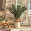 Artificial Sago Palm