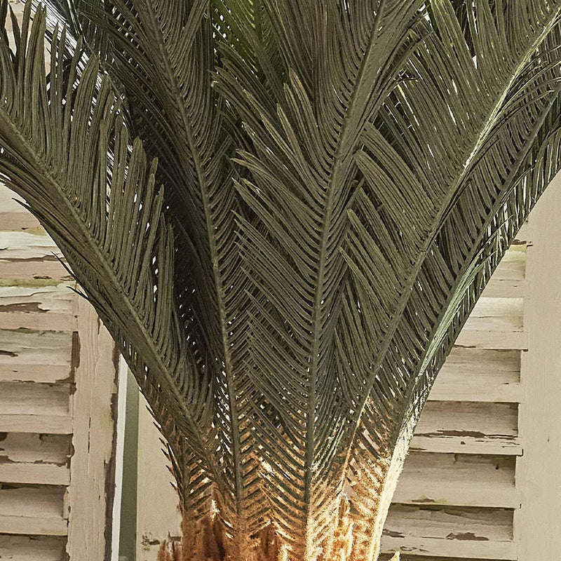 Artificial Sago Palm