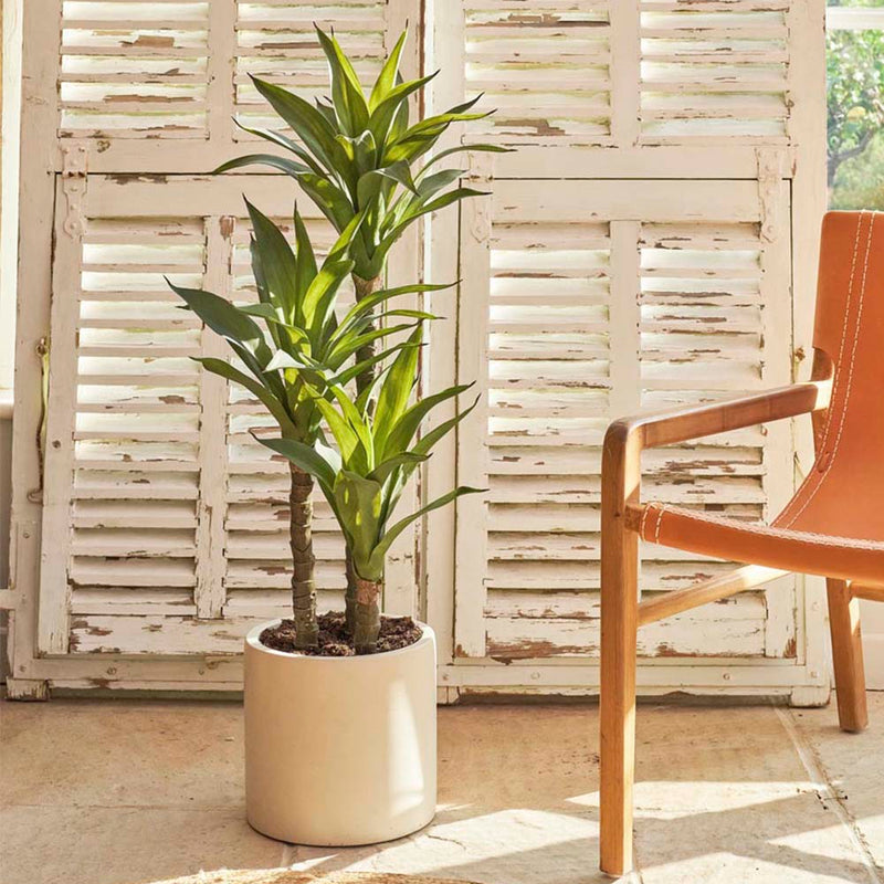 Artificial Agave Plant