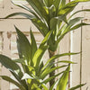 Artificial Agave Plant