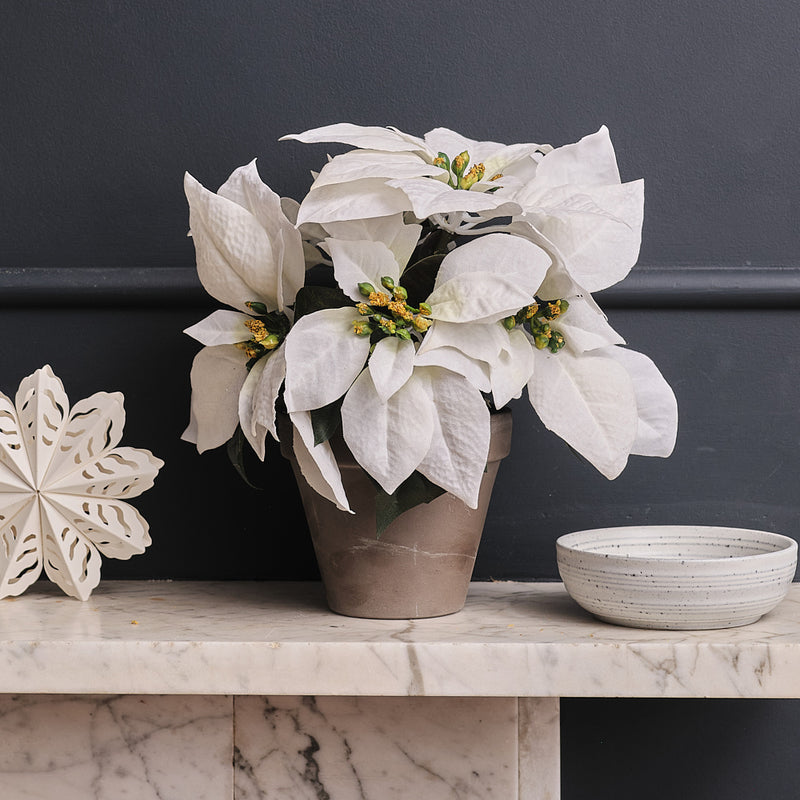 Artificial White Poinsettia