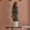Artificial Begonia Maculata