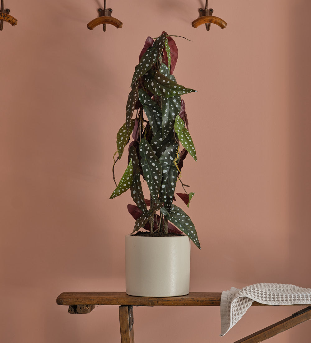Artificial Begonia Maculata