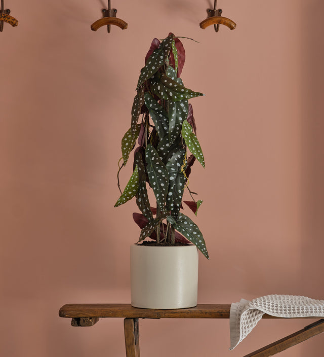 Artificial Begonia Maculata