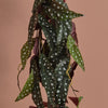 Artificial Begonia Maculata