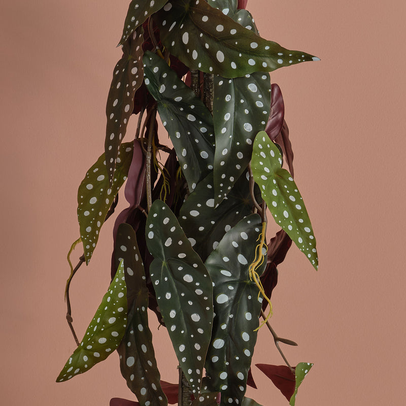 Artificial Begonia Maculata