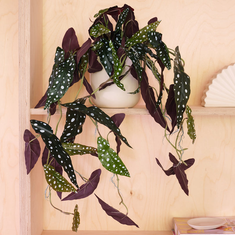Artificial Hanging Begonia