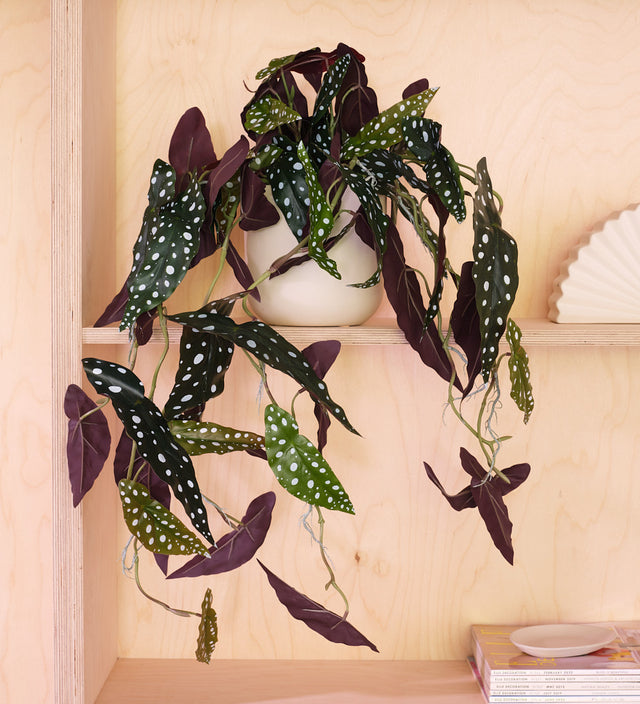 Artificial Hanging Begonia