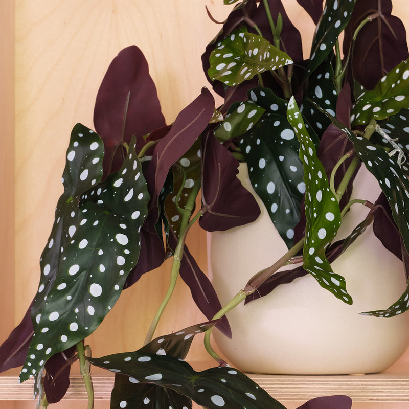 Artificial Hanging Begonia