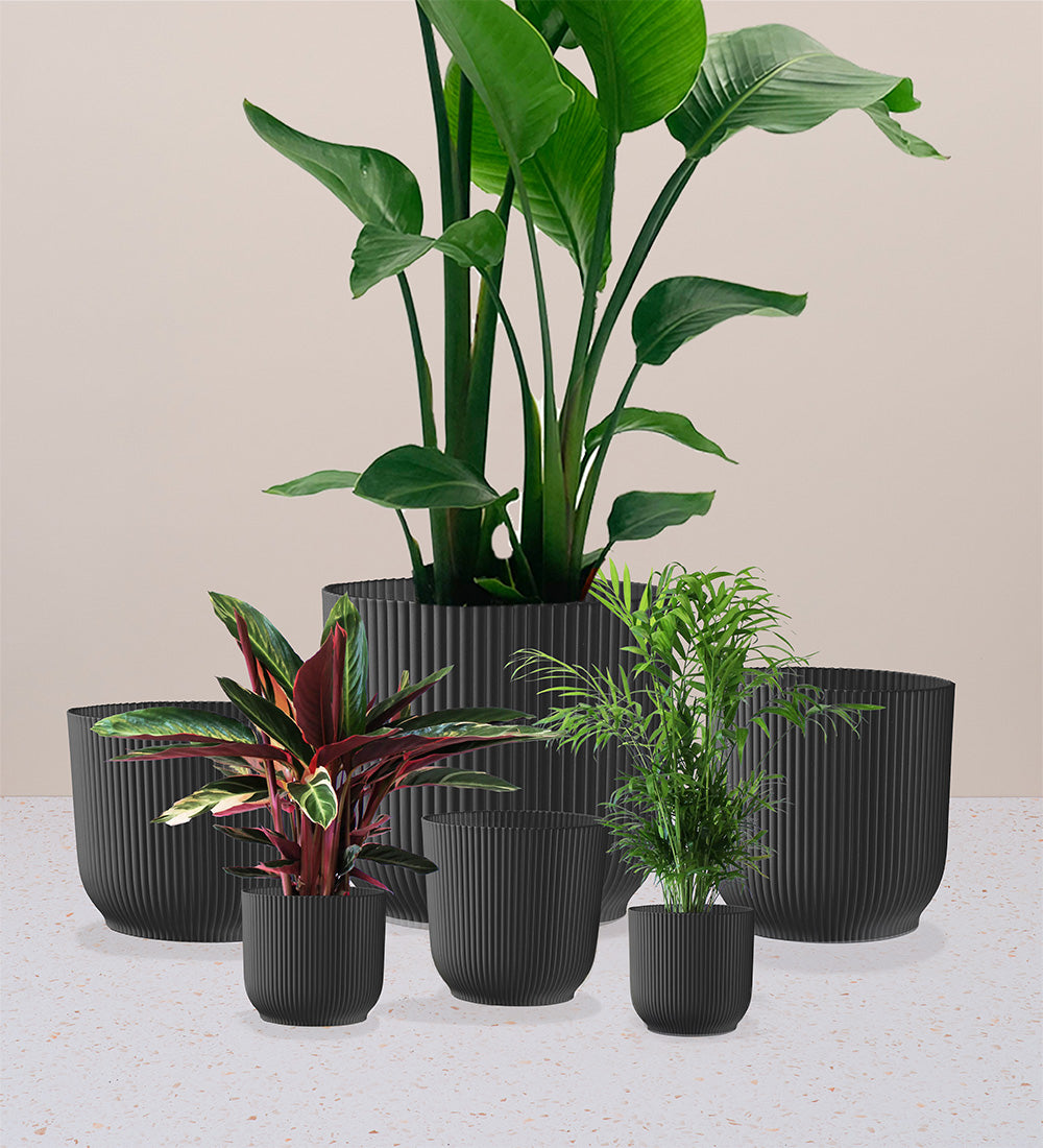 Dark Grey Elho Vibes Pot