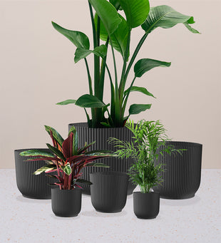 Dark Grey Elho Vibes Pot