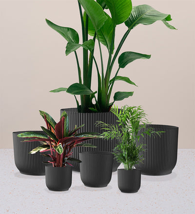 Dark Grey Elho Vibes Pot