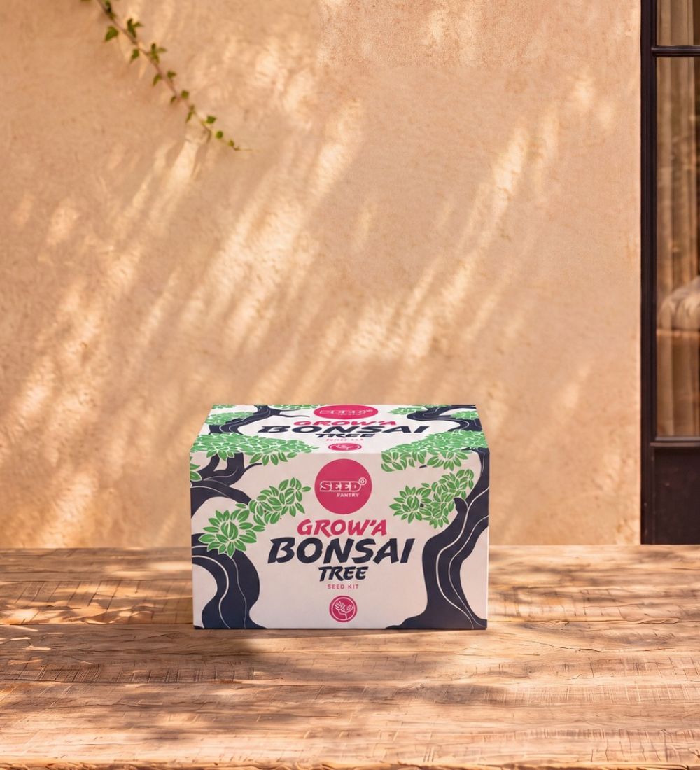 Bonsai Plants Seed Kit