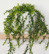 Artificial Boxwood Hanging