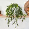 Artificial Boxwood Hanging