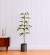Artificial Shady Lady Tree