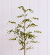 Artificial Shady Lady Tree