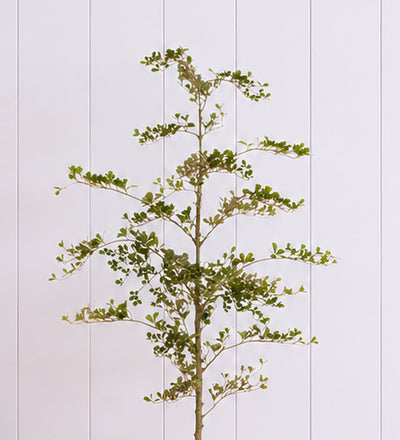 Artificial Shady Lady Tree