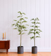 Artificial Shady Lady Tree