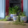 Blue Stripe Pot