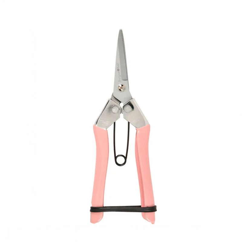 Pink Secateurs