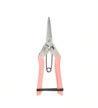 Pink Secateurs Image