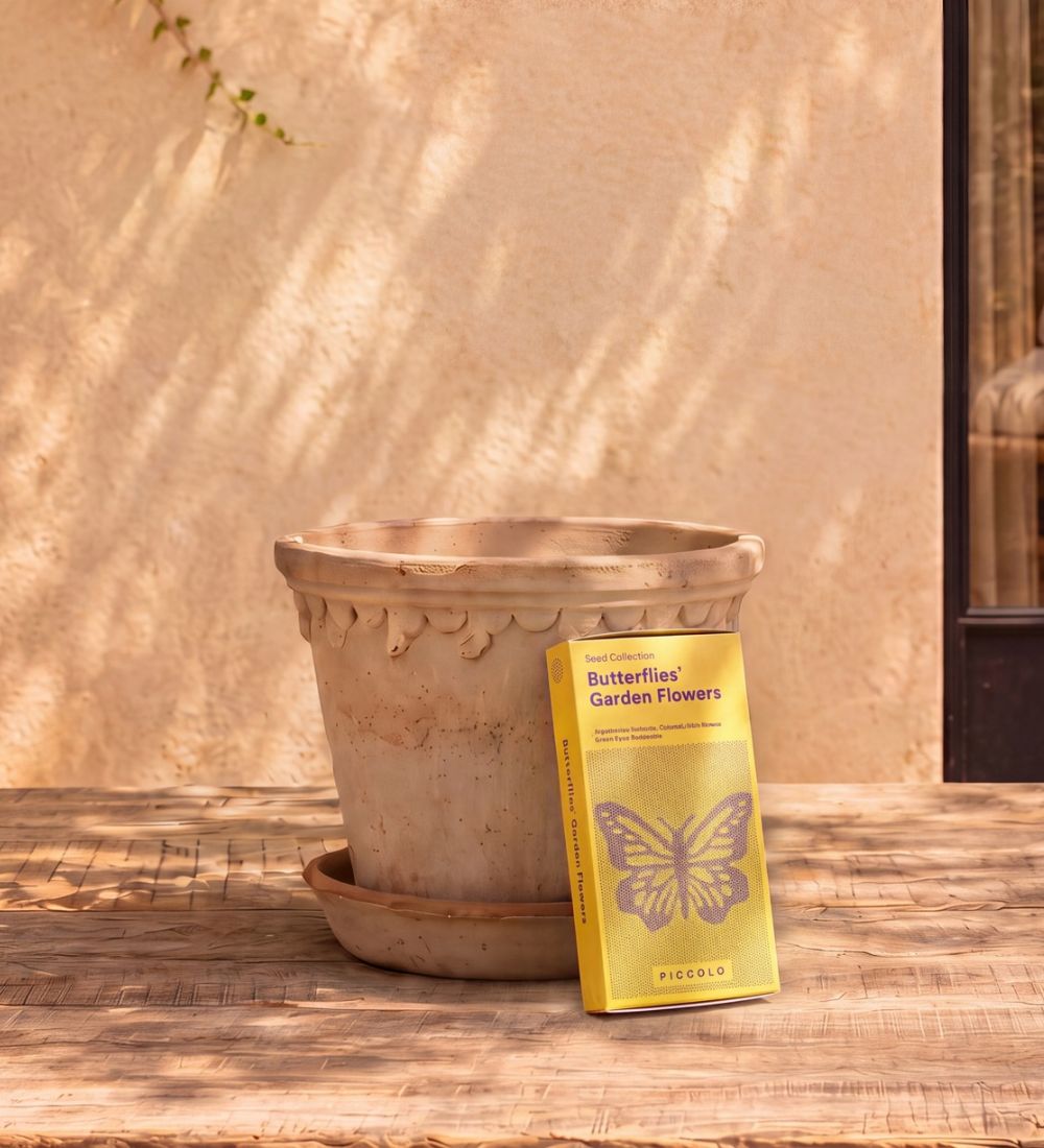 Piccolo Butterflies' Garden Flowers Seeds