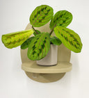 Taupe Pot