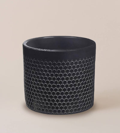 Fiddle-Leaf Fig Pair