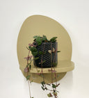 Grey Pot
